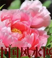 重庆预示你财运上升，姻缘可成的梦境，快来看看吧！