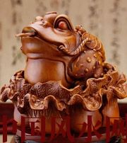 重庆解读金蟾最合适的位置，这样摆放更招财！